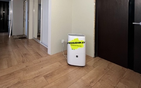 Просушка квартиры после затопления