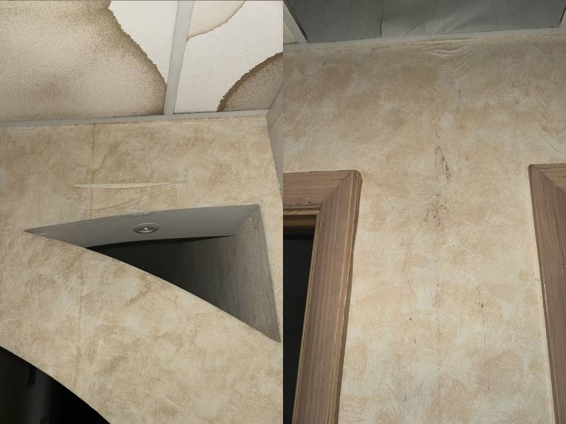  Появление грибка и плесени на стенах и потолке.